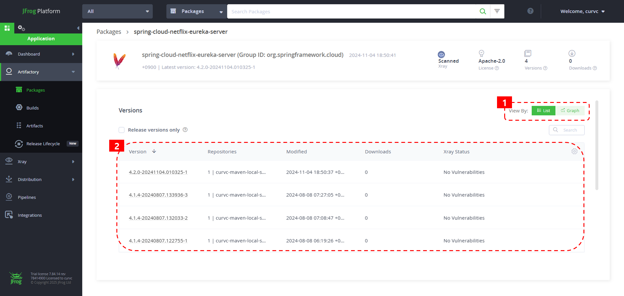 CURVC DevOps > JFrog Artifactory 패키지 관리하기 > image-2025-4-7_10-39-23-1.png