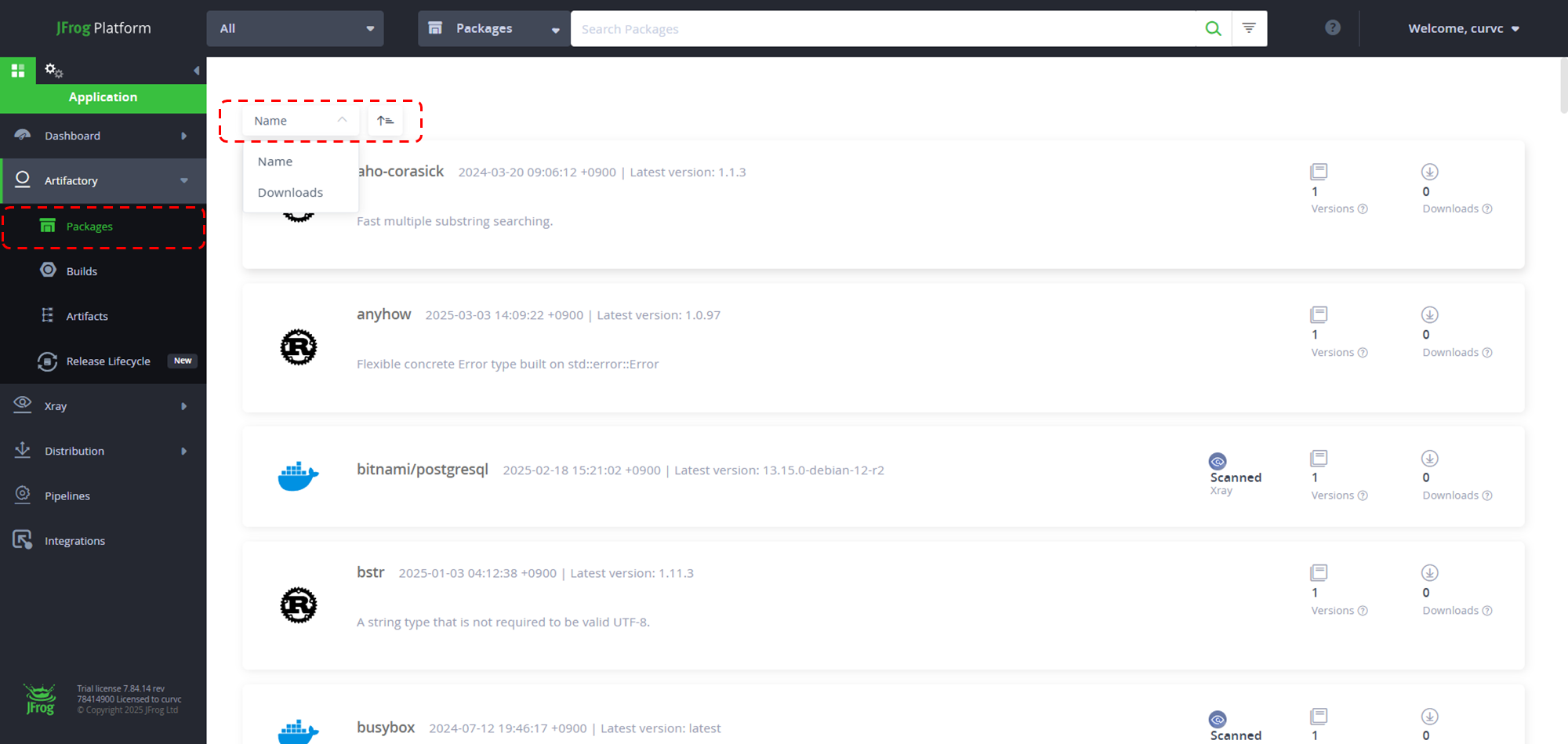 CURVC DevOps > JFrog Artifactory 패키지 관리하기 > image-2025-4-7_11-19-17-1.png